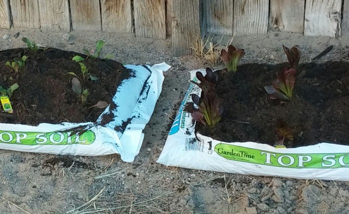 Tuesday Treasured Tidbit&nbsp;#5