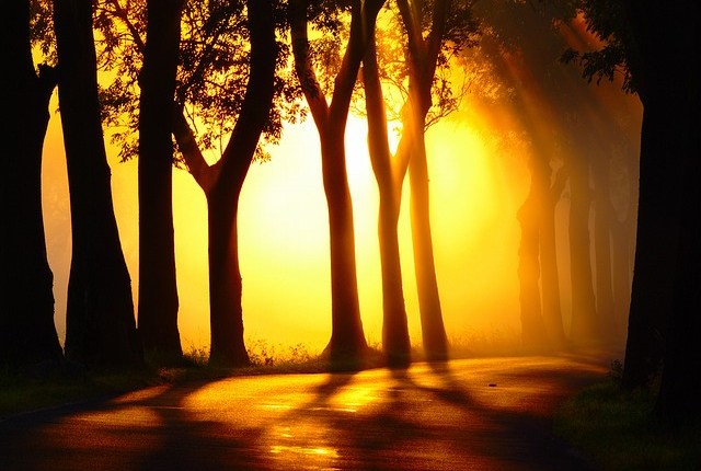 Happy New Year 2017!!!