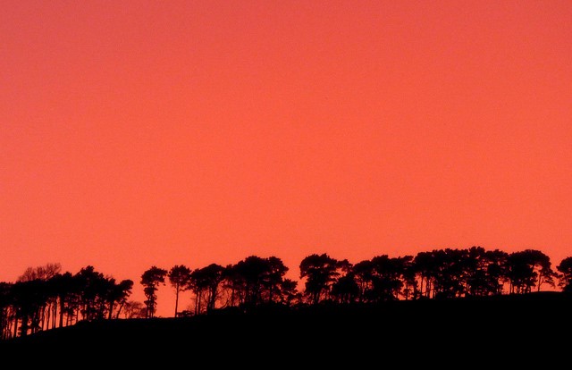 Writing101 – Death to Adverbs