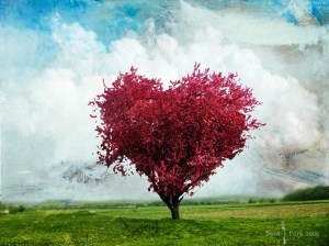 pink-heart-tree